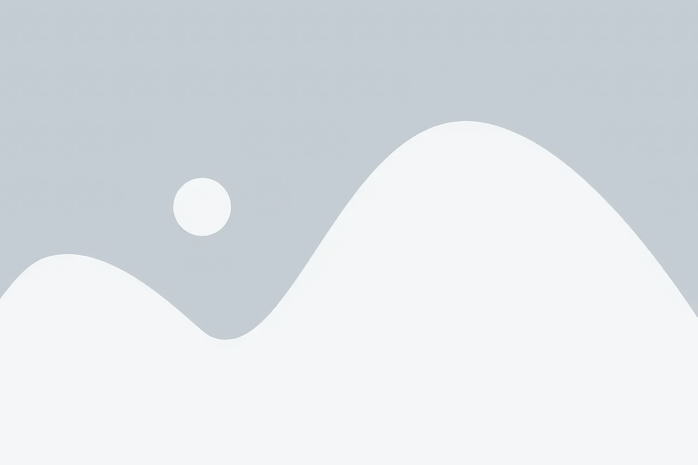 Branding project preview